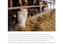 write expert b2b content for your agtech and agribusiness